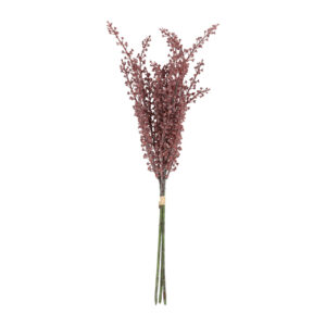 Phytolacca bundt m/ 3 stk, Rosa