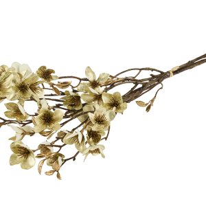 Silkeblomst Blomstergren - 3 stk.