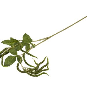 Silkeblmst Raklegren