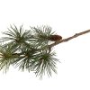 Silkeblomst, Pine