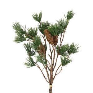 Fyr grene med kogler - bundt med 3 stk