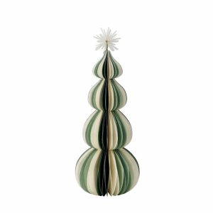 Paulinia juletræ - Stor
